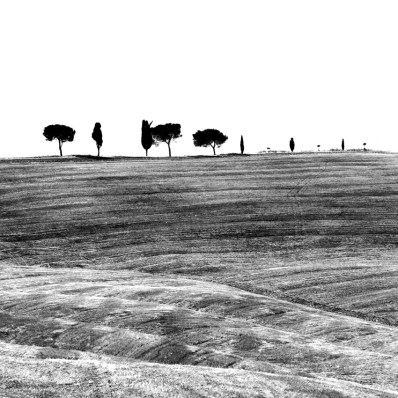 scarnificazioni_1_web