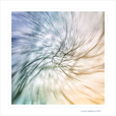 unadiscesanelmaelstrom