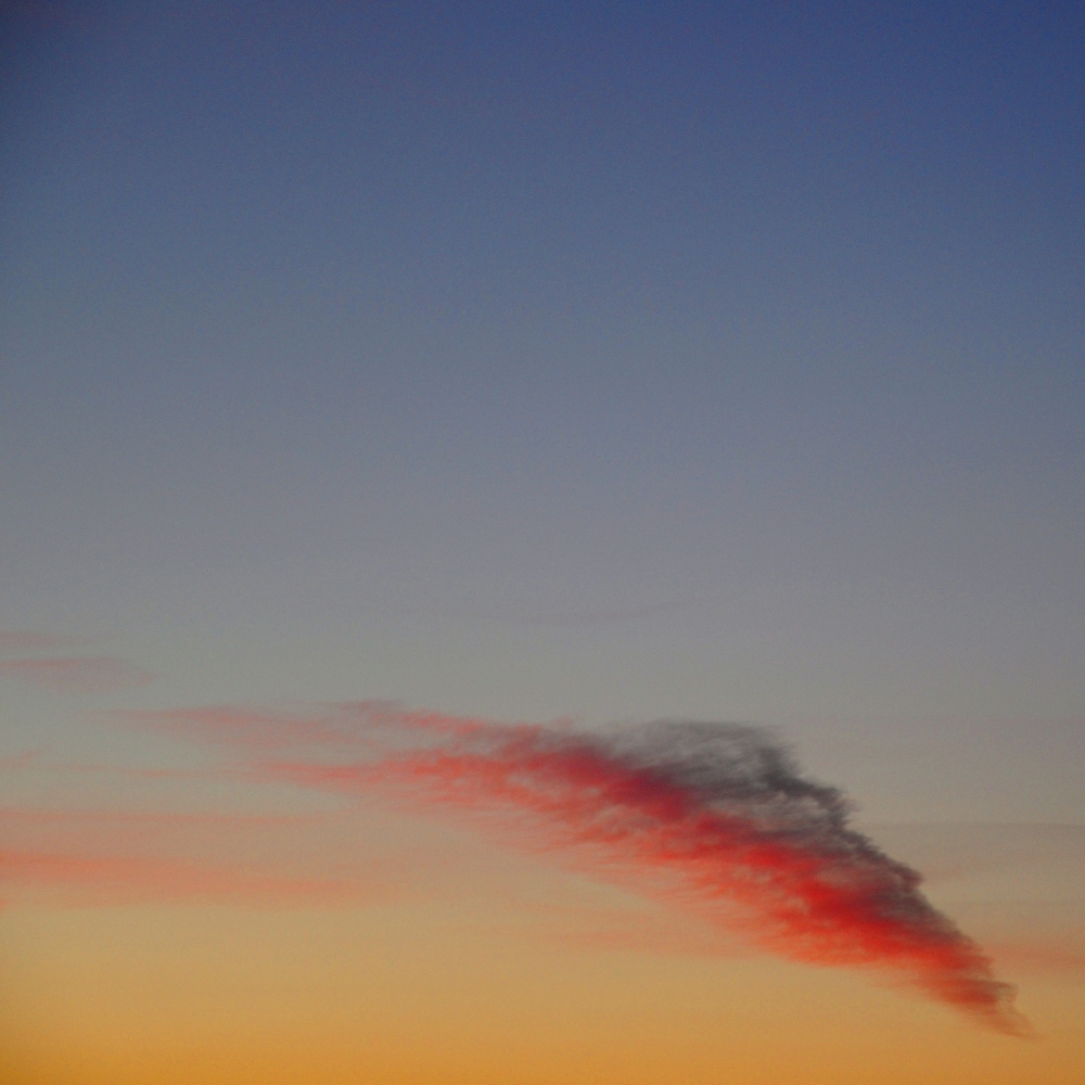 la_sciarpa_di_isadora