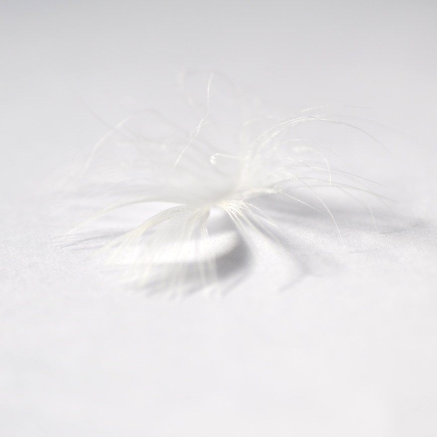 of-wind-and-water_web