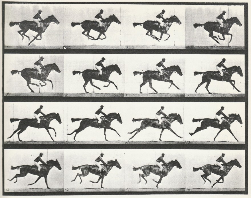 muybridge-motion-picture
